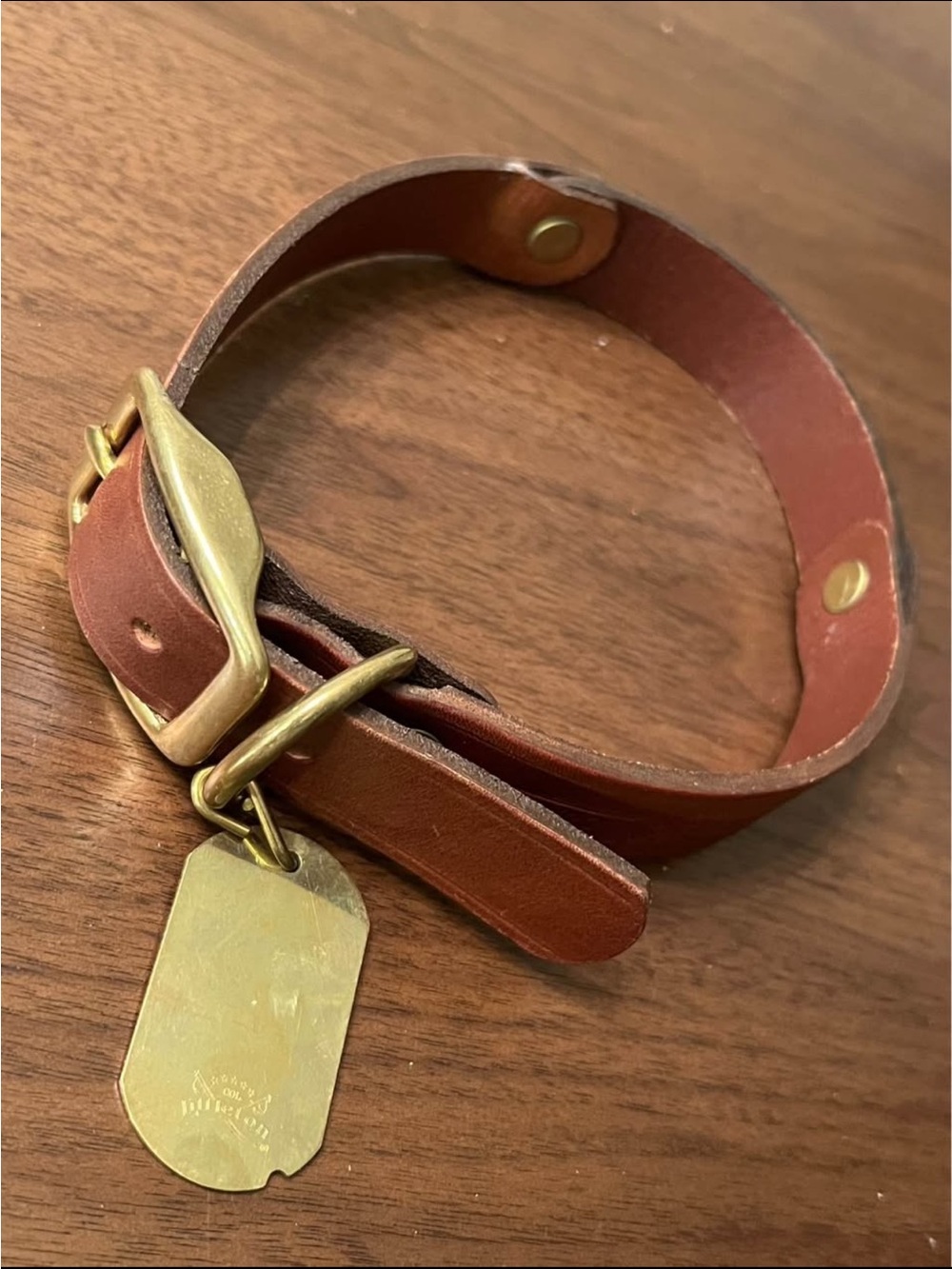 Leather & Brass Collar